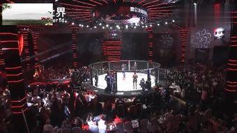 中国队友爆料视频最新,最新爆料视频背后的惊人真相